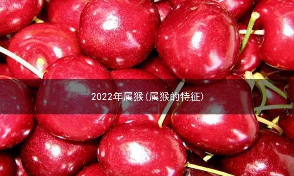 2022年属猴(属猴的特征)