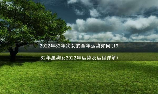 2022年82年狗女的全年运势如何(1982年属狗女2022年运势及运程详解)