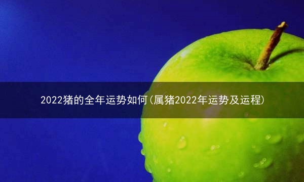 2022猪的全年运势如何(属猪2022年运势及运程)