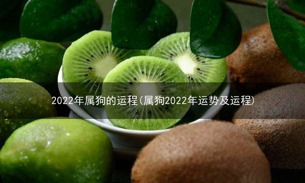 2022年属狗的运程(属狗2022年运势及运程)