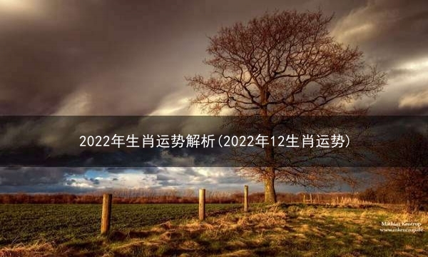 2022年生肖运势解析(2022年12生肖运势)