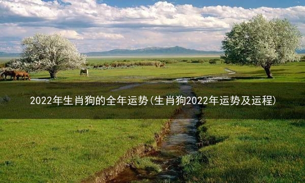 2022年生肖狗的全年运势(生肖狗2022年运势及运程)