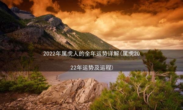 2022年属虎人的全年运势详解(属虎2022年运势及运程)