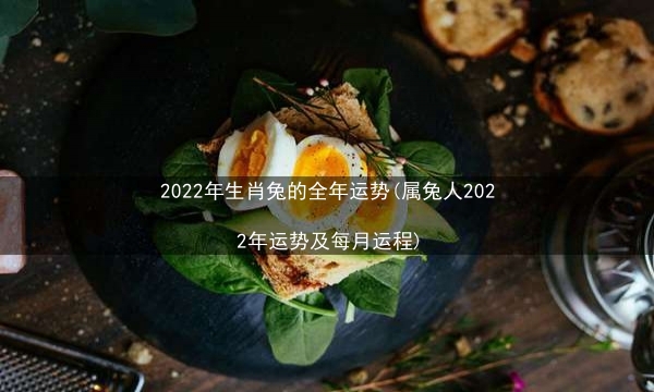 2022年生肖兔的全年运势(属兔人2022年运势及每月运程)