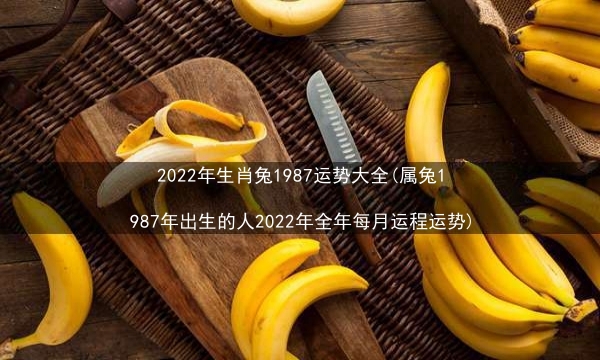 2022年生肖兔1987运势大全(属兔1987年出生的人2022年全年每月运程运势)