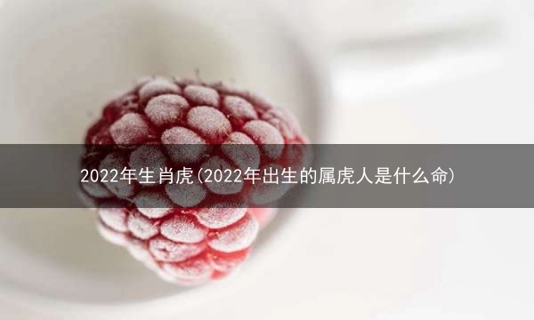 2022年生肖虎(2022年出生的属虎人是什么命)