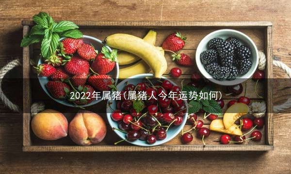 2022年属猪(属猪人今年运势如何)