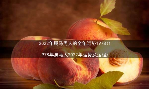 2022年属马男人的全年运势1978(1978年属马人2022年运势及运程)