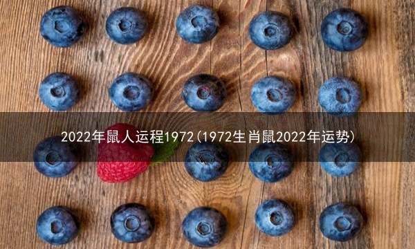 2022年鼠人运程1972(1972生肖鼠2022年运势)