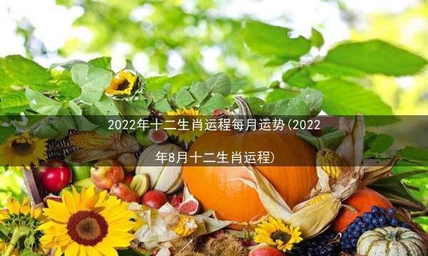 2022年十二生肖运程每月运势(2022年8月十二生肖运程)