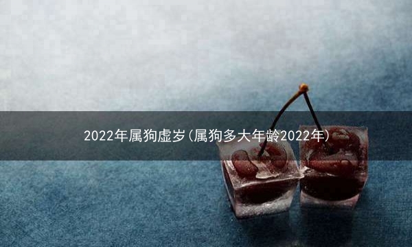 2022年属狗虚岁(属狗多大年龄2022年)