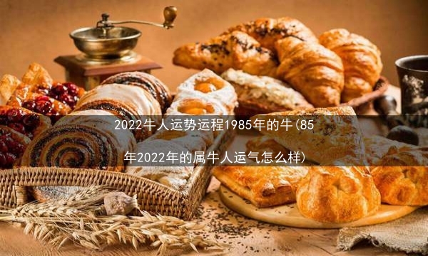 2022牛人运势运程1985年的牛(85年2022年的属牛人运气怎么样)