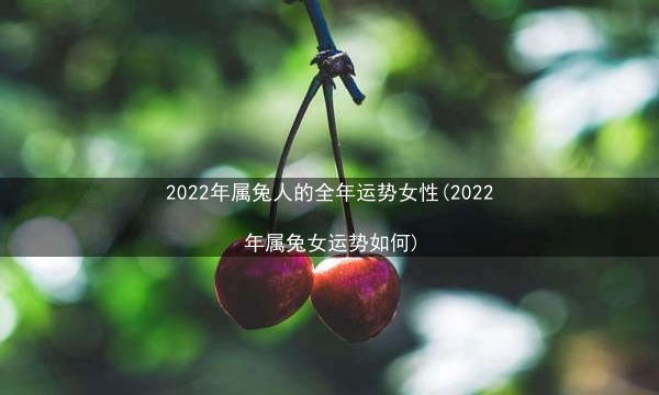 2022年属兔人的全年运势女性(2022年属兔女运势如何)