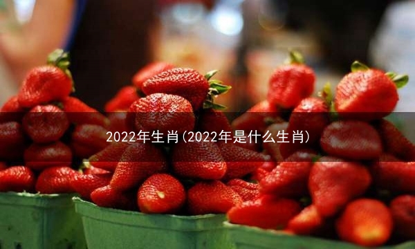 2022年生肖(2022年是什么生肖)