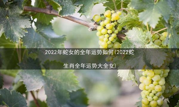 2022年蛇女的全年运势如何(2022蛇生肖全年运势大全女)