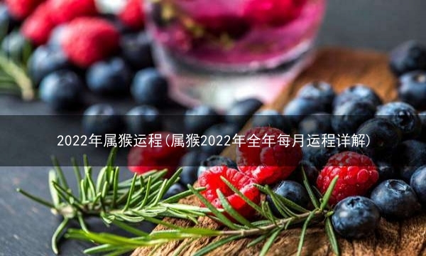 2022年属猴运程(属猴2022年全年每月运程详解)