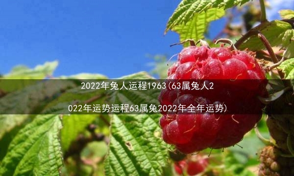 2022年兔人运程1963(63属兔人2022年运势运程63属兔2022年全年运势)